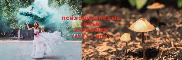ГАЛЛЮЦИНОГЕННЫЕ ГРИБЫ Алзамай