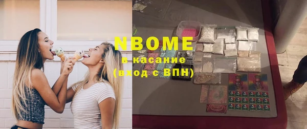 индика Алексин