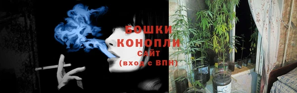 ГАЛЛЮЦИНОГЕННЫЕ ГРИБЫ Алзамай