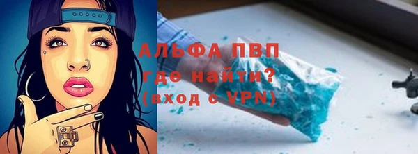 индика Алексин