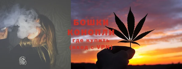 индика Протвино