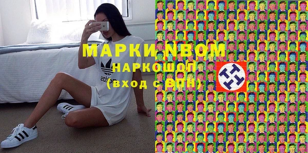 индика Алексин