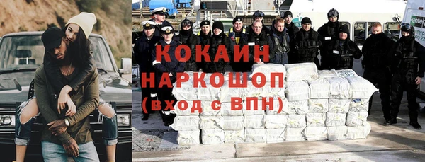 индика Алексин
