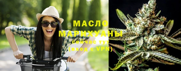 индика Протвино