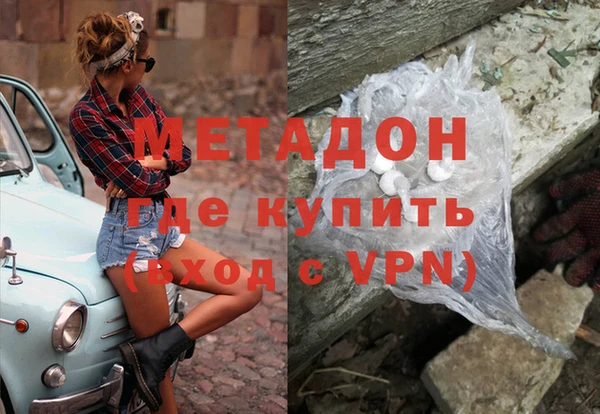 индика Алексин