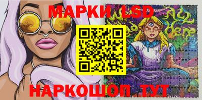 гашик Нарткала
