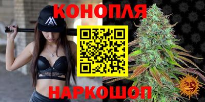 гашик Нарткала