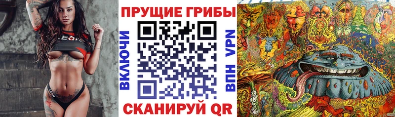 закладка  Пермь  Галлюциногенные грибы GOLDEN TEACHER 